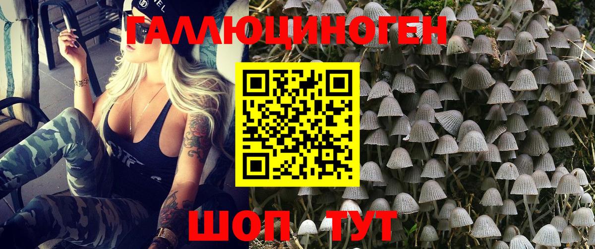 Галлюциногенные грибы мухоморы  Вход с VPN  Камышин  Галлюциногенные грибы прущие грибы 